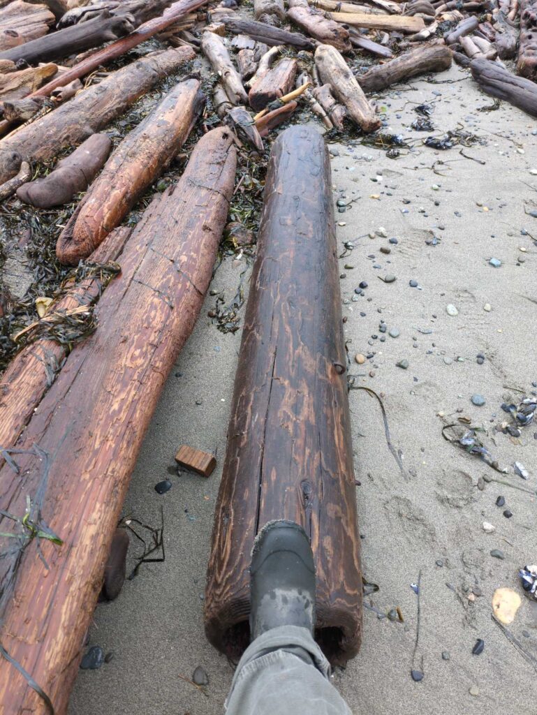 a person's feet on a wooden plank (MyCoast AI)