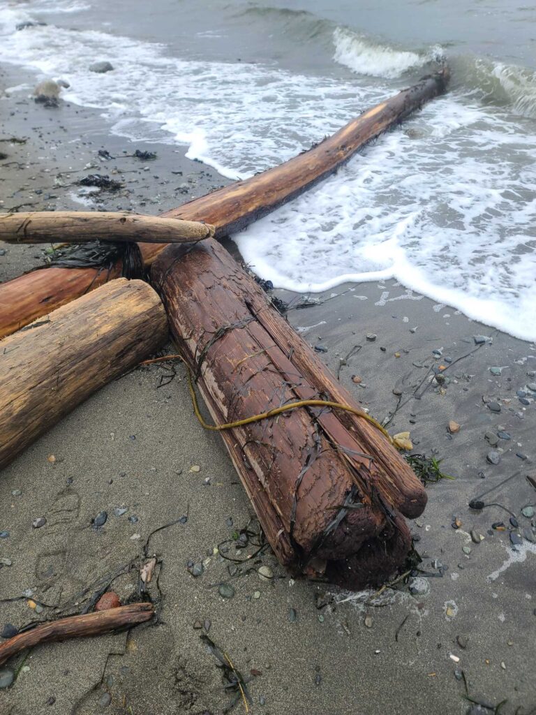 a log on the beach (MyCoast AI)
