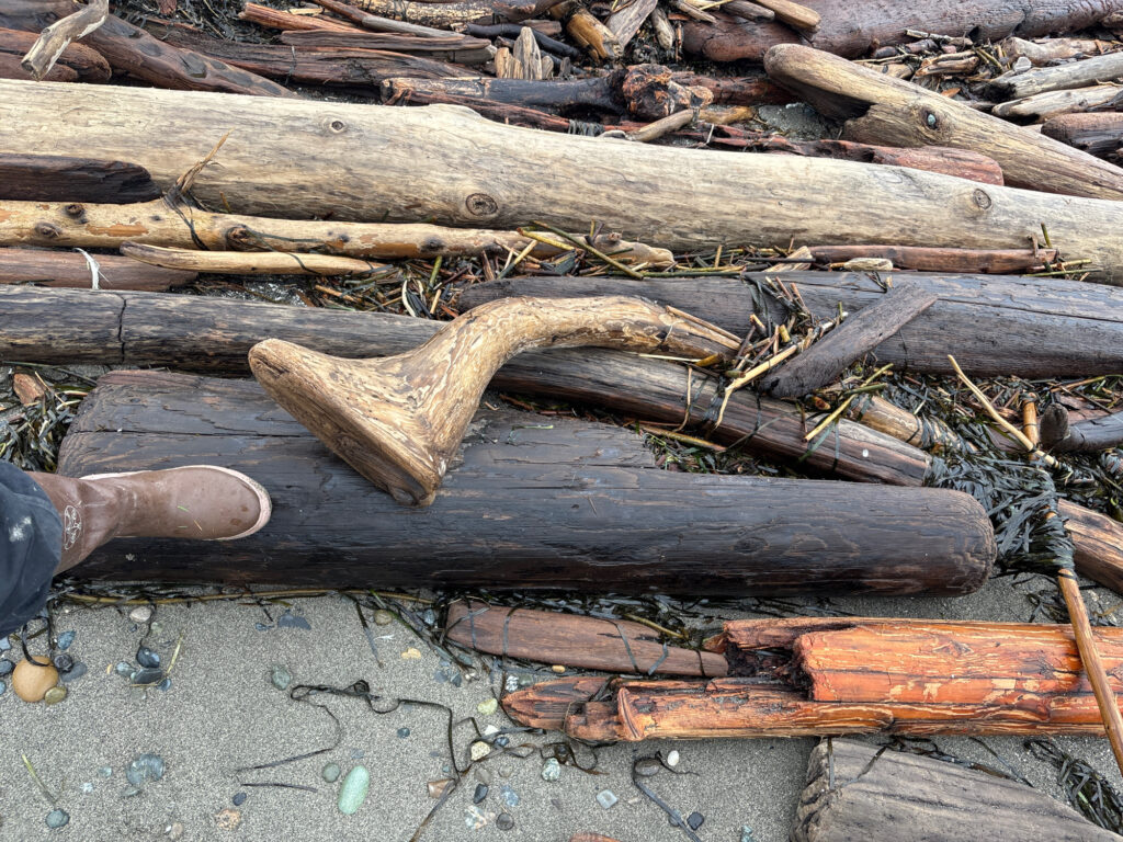 a pile of wood (MyCoast AI)