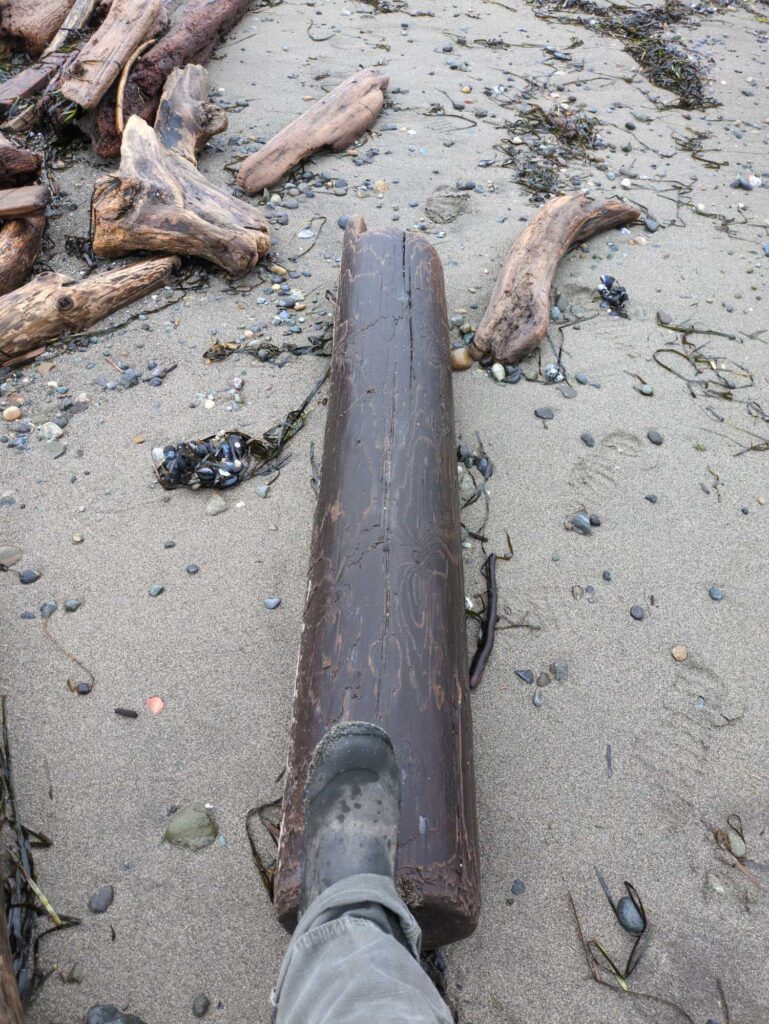 a person's foot and a knife on the ground (MyCoast AI)