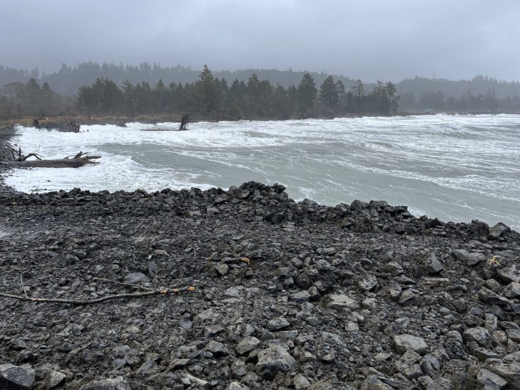 a rocky beach with trees in the background (MyCoast AI)