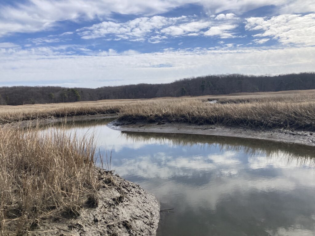 a lake with a field and trees in the background (MyCoast AI)