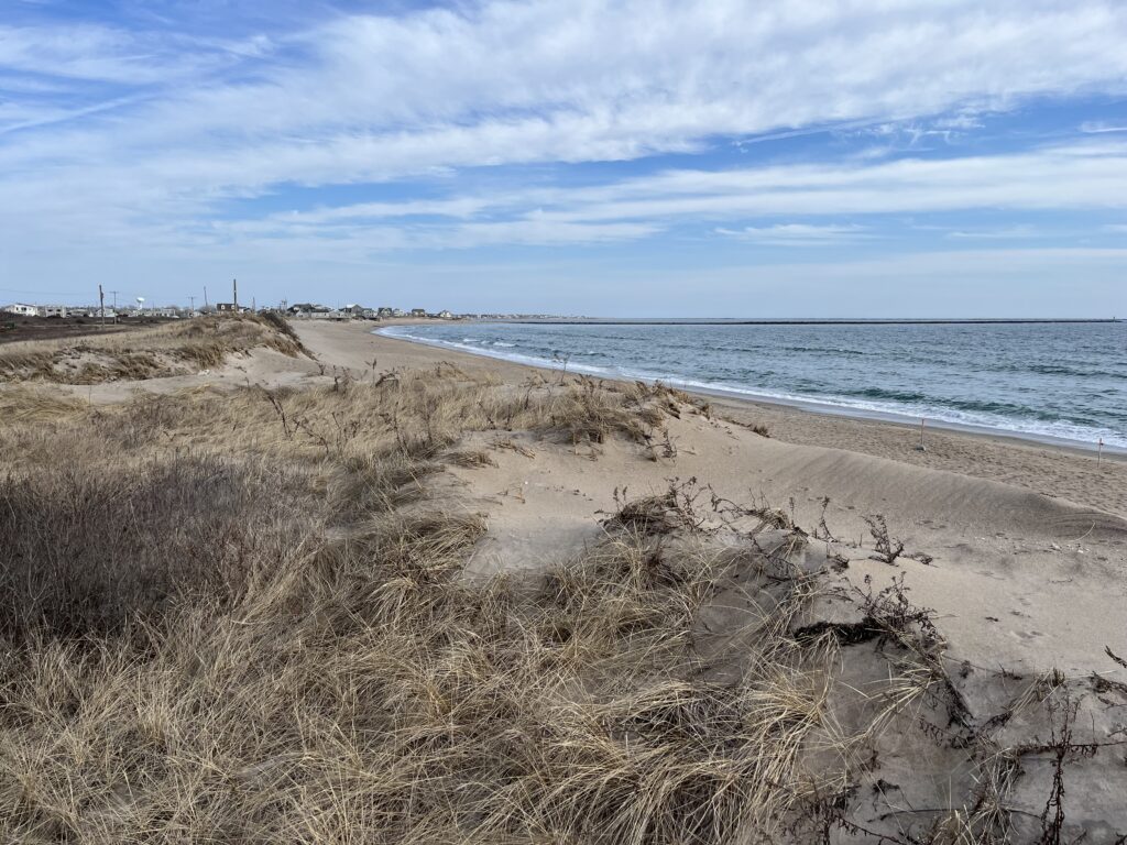 a sandy beach with grass and water (MyCoast AI)