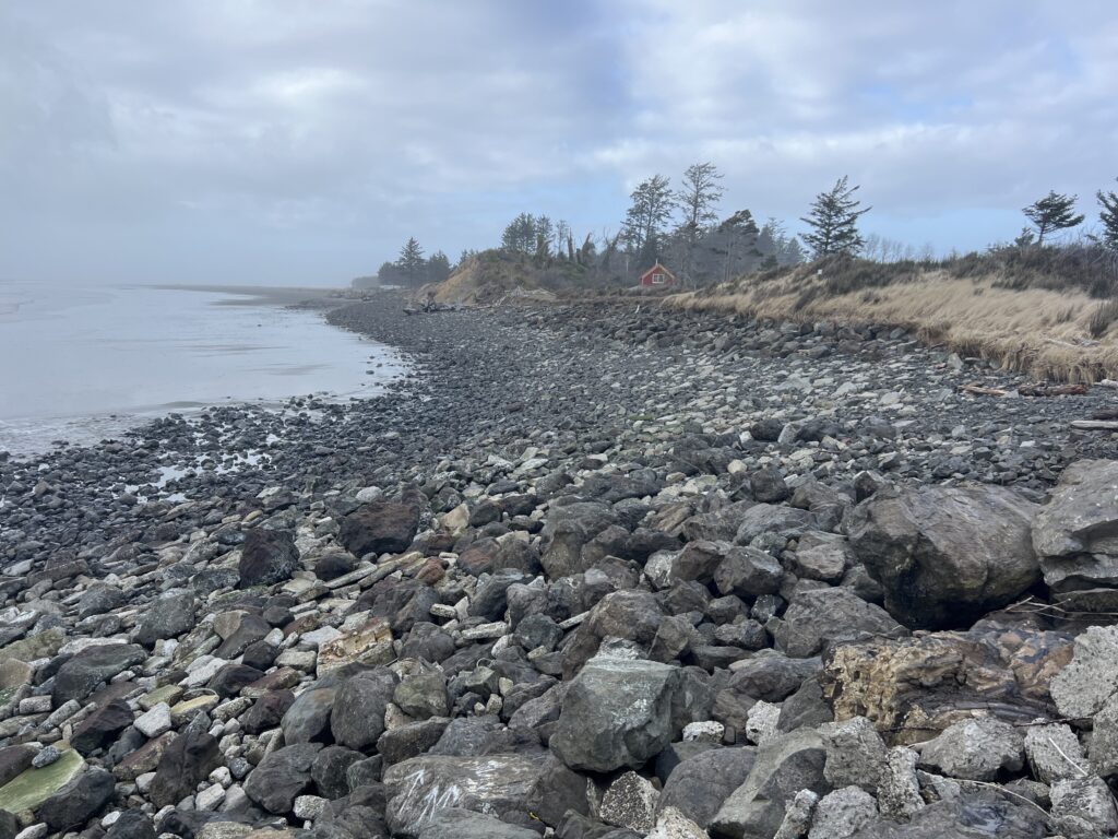 a rocky beach with trees and a body of water in the background (MyCoast AI)