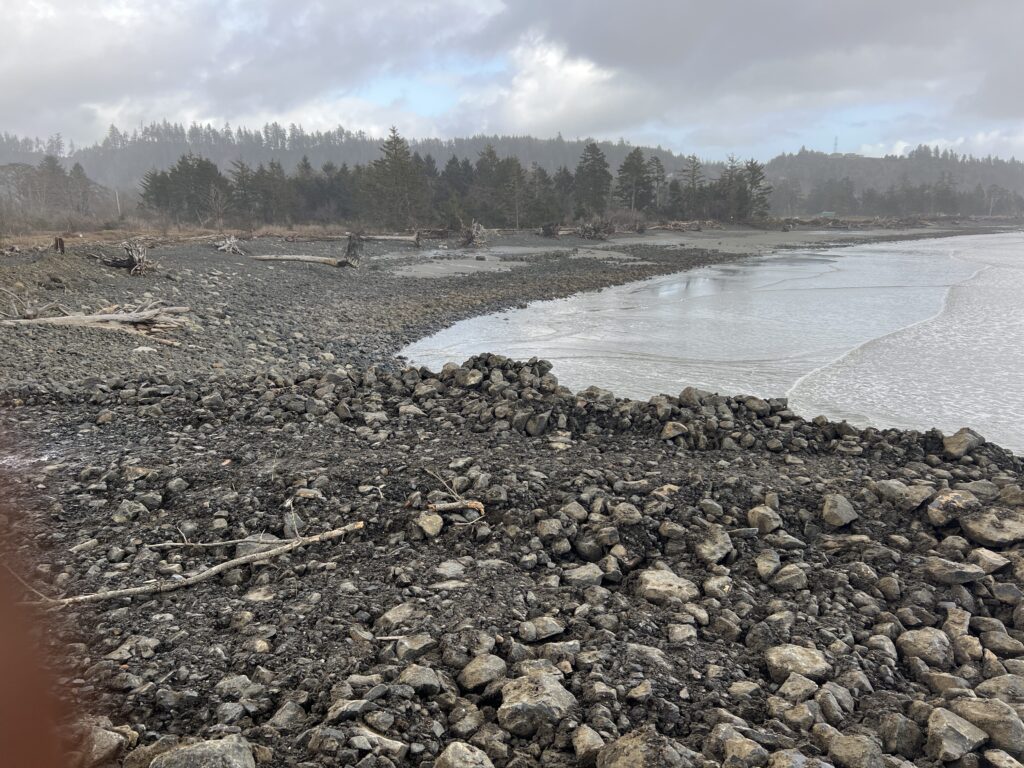 a rocky beach with a body of water and trees in the background (MyCoast AI)