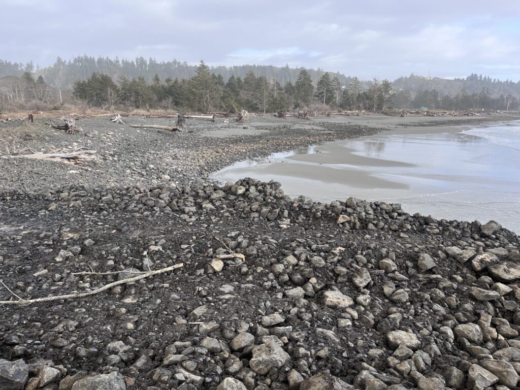 a rocky beach with a body of water and trees in the background (MyCoast AI)