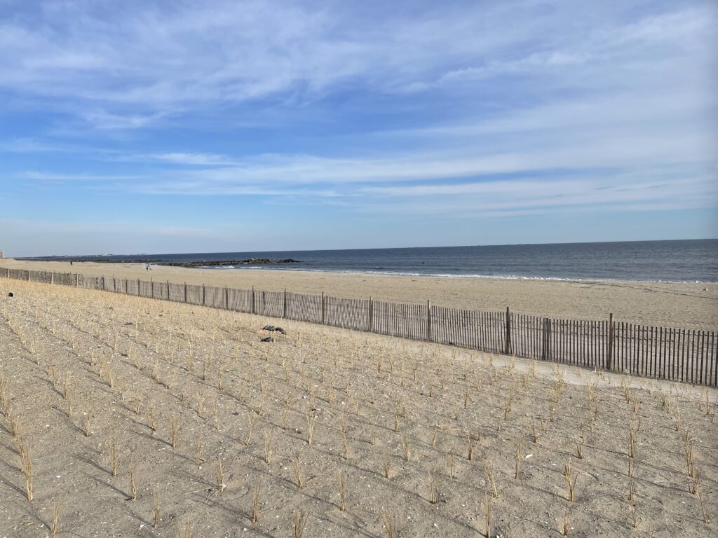 a sandy beach with a fence with Camber Sands in the background (MyCoast AI)