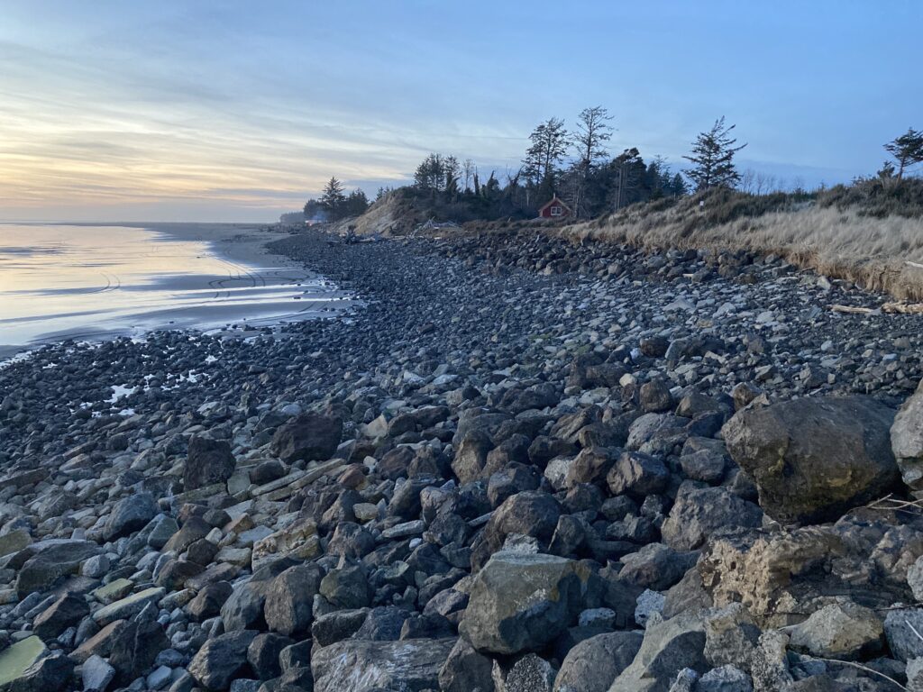 a rocky beach with trees and a house in the background (MyCoast AI)
