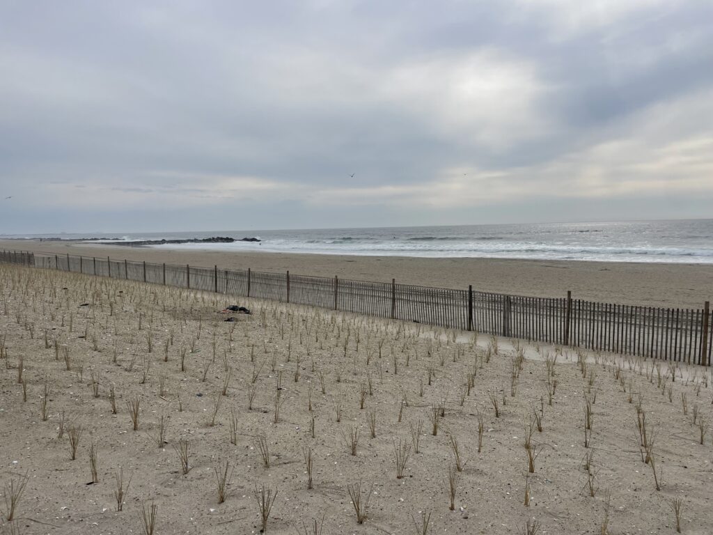 a beach with a fence and a body of water (MyCoast AI)