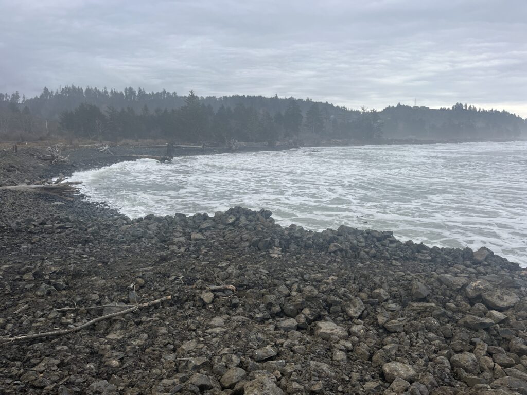 a rocky shore with a body of water and trees in the background (MyCoast AI)