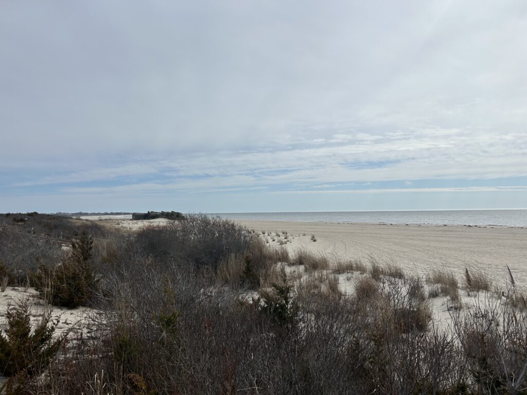 a sandy beach with bushes and trees (MyCoast AI)