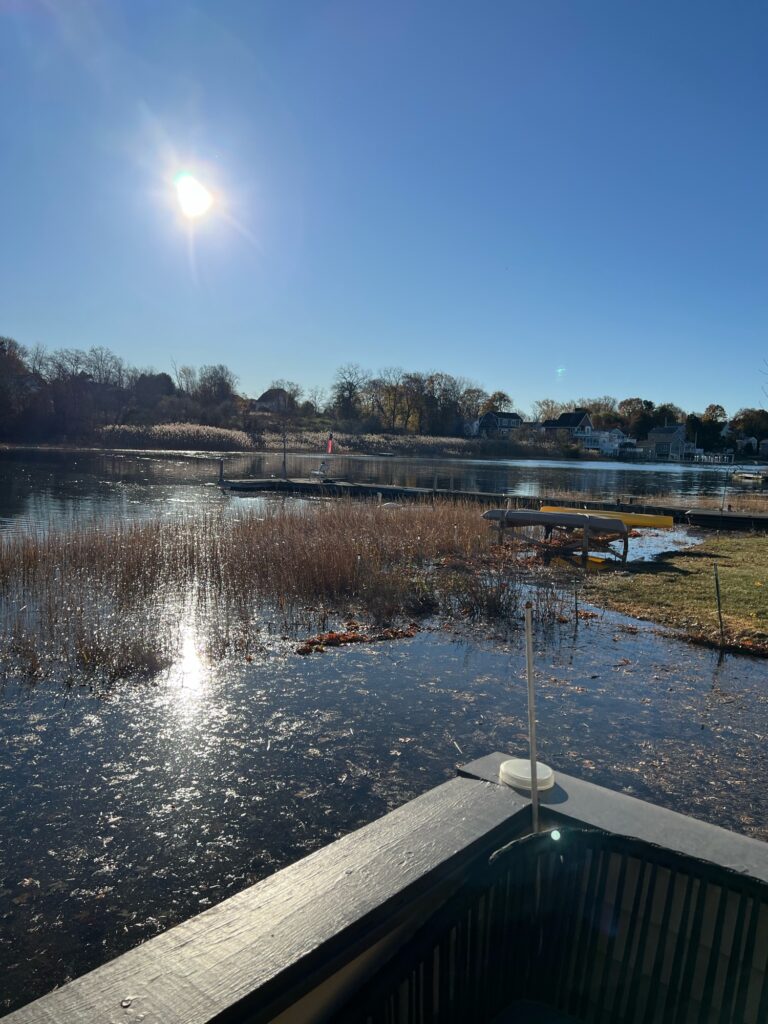a body of water with a dock and grass and trees in the background (MyCoast AI)
