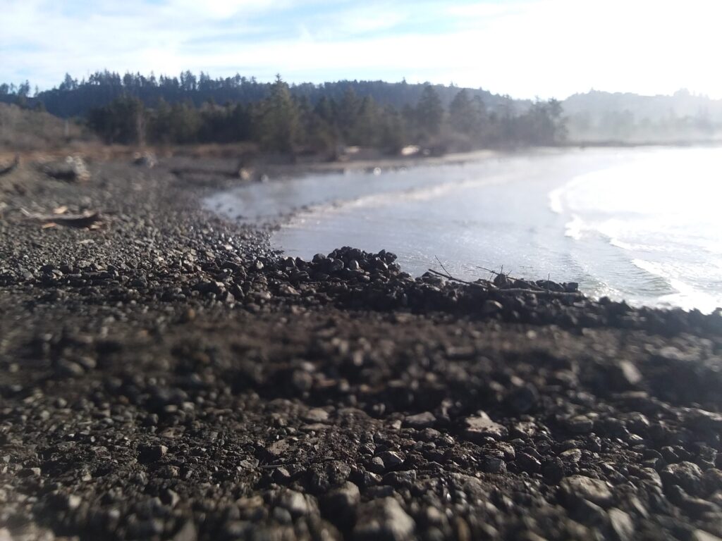 a rocky beach with trees in the background (MyCoast AI)