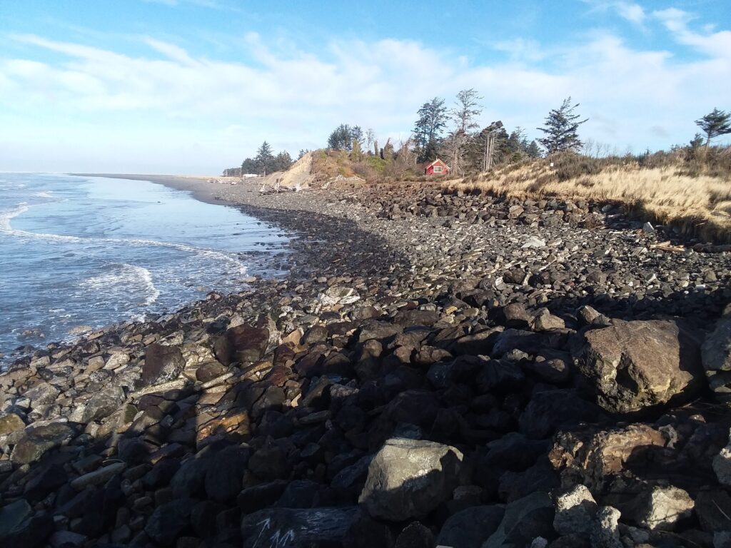 a rocky beach with trees and water (MyCoast AI)