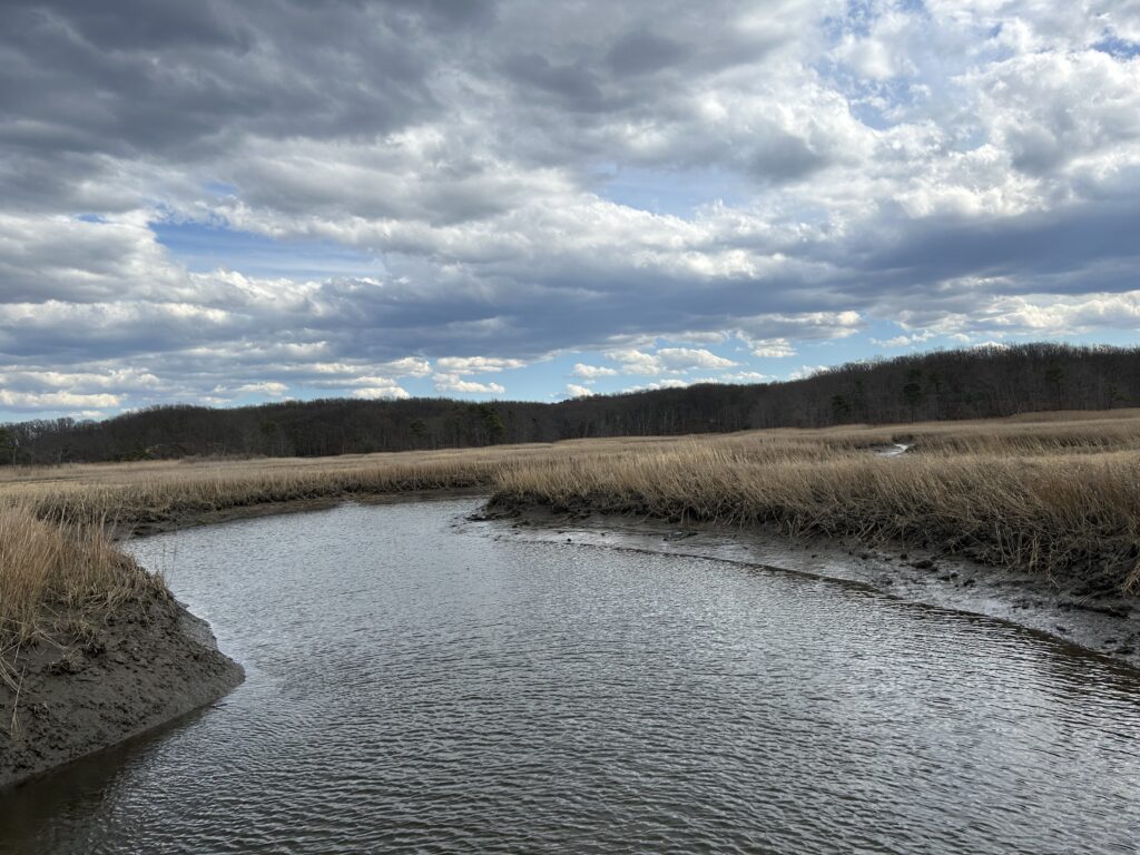 a river with grass and trees on the side (MyCoast AI)