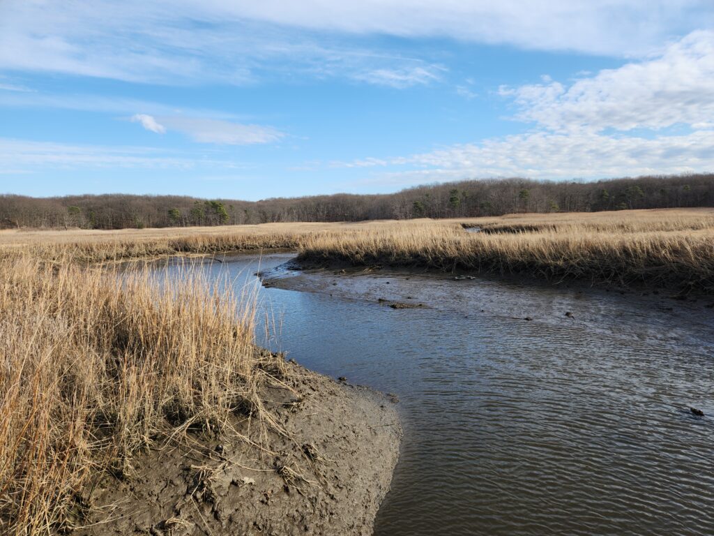 a river with grass and trees (MyCoast AI)