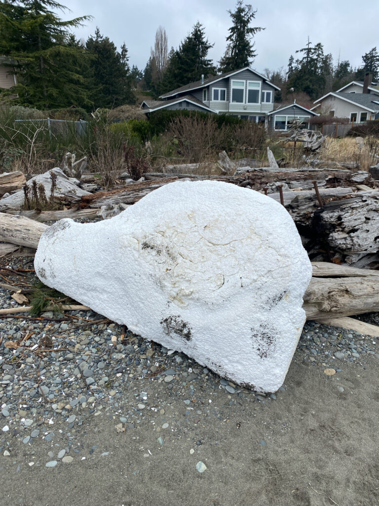 a large rock in a yard (MyCoast AI)