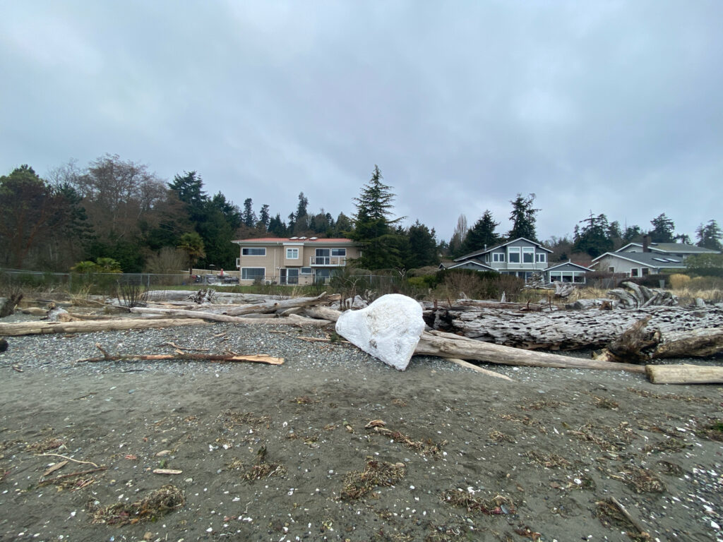 a house with a lot of wood in front of it (MyCoast AI)