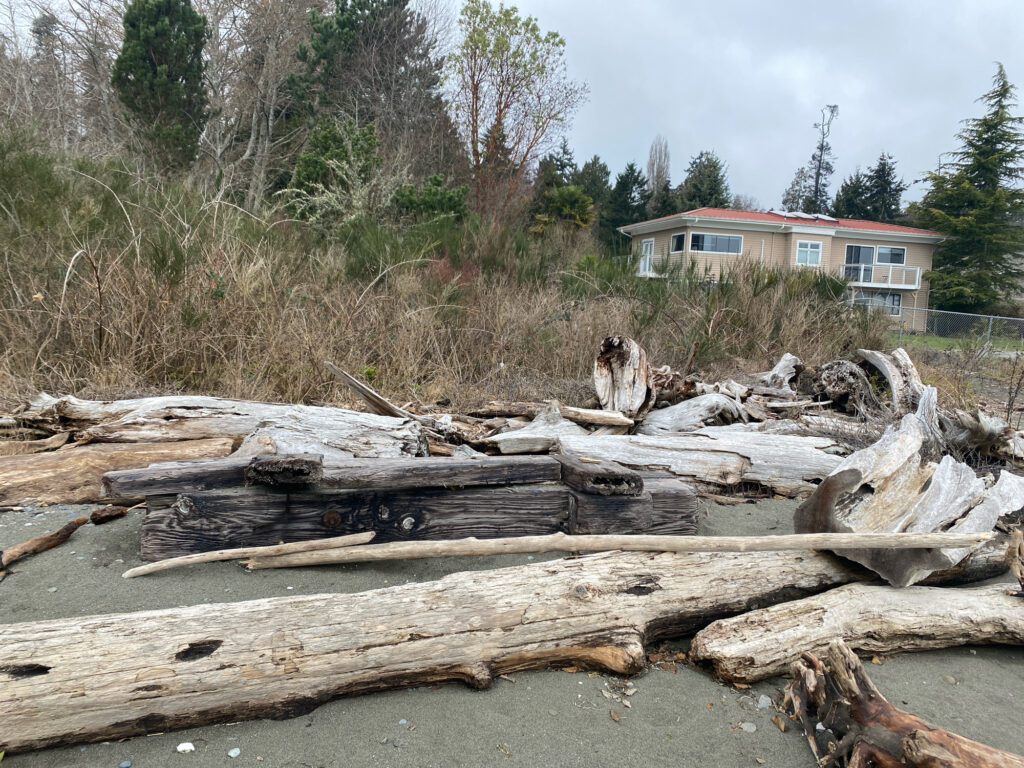 a pile of cut trees in front of a house (MyCoast AI)