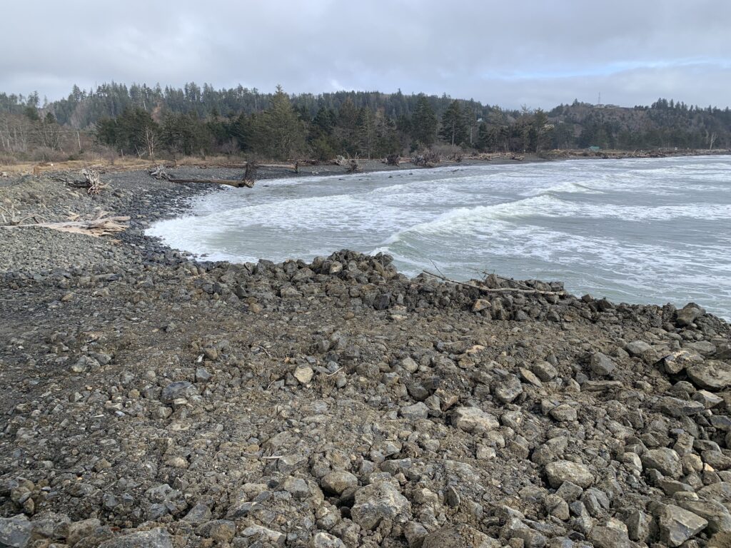 a rocky beach with trees in the background (MyCoast AI)