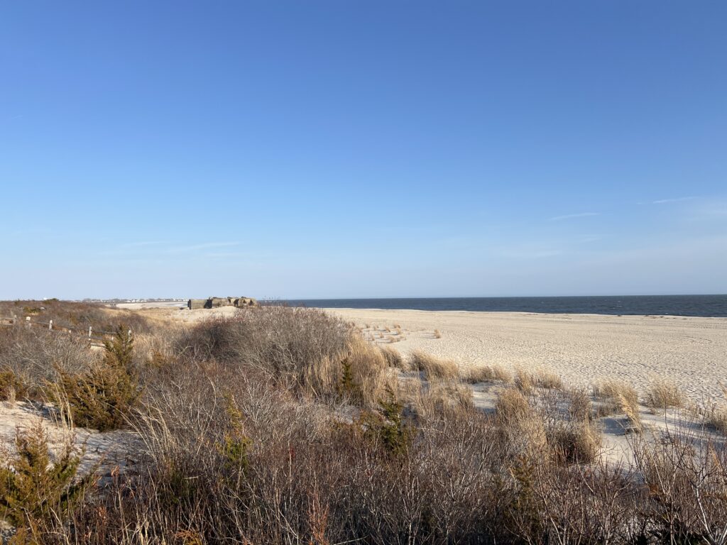 a field of dry grass (MyCoast AI)