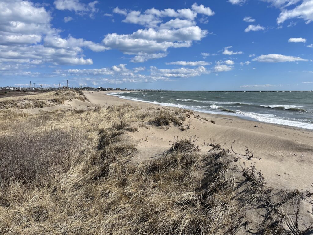 a sandy beach with waves crashing on it (MyCoast AI)