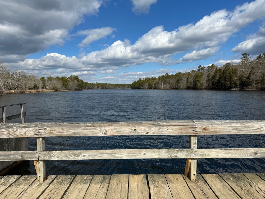 a wood deck overlooking a lake (MyCoast AI)