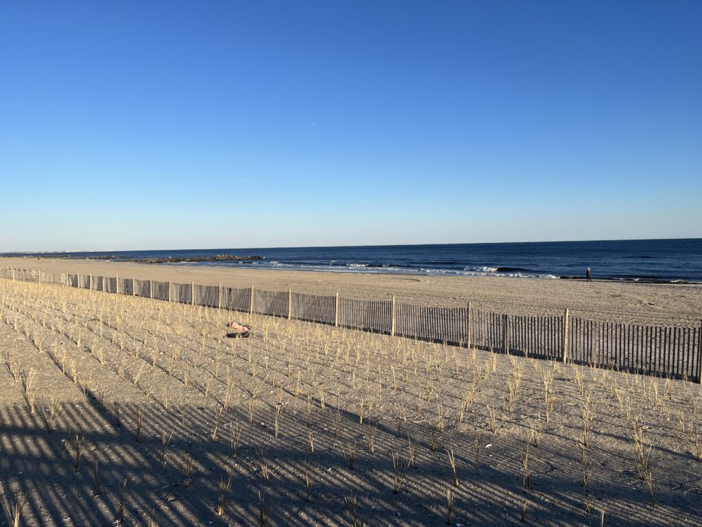 a fenced off field with a beach and water in the background (MyCoast AI)