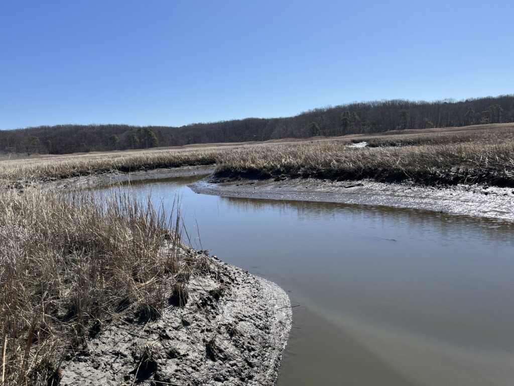 a river with snow on the banks (MyCoast AI)