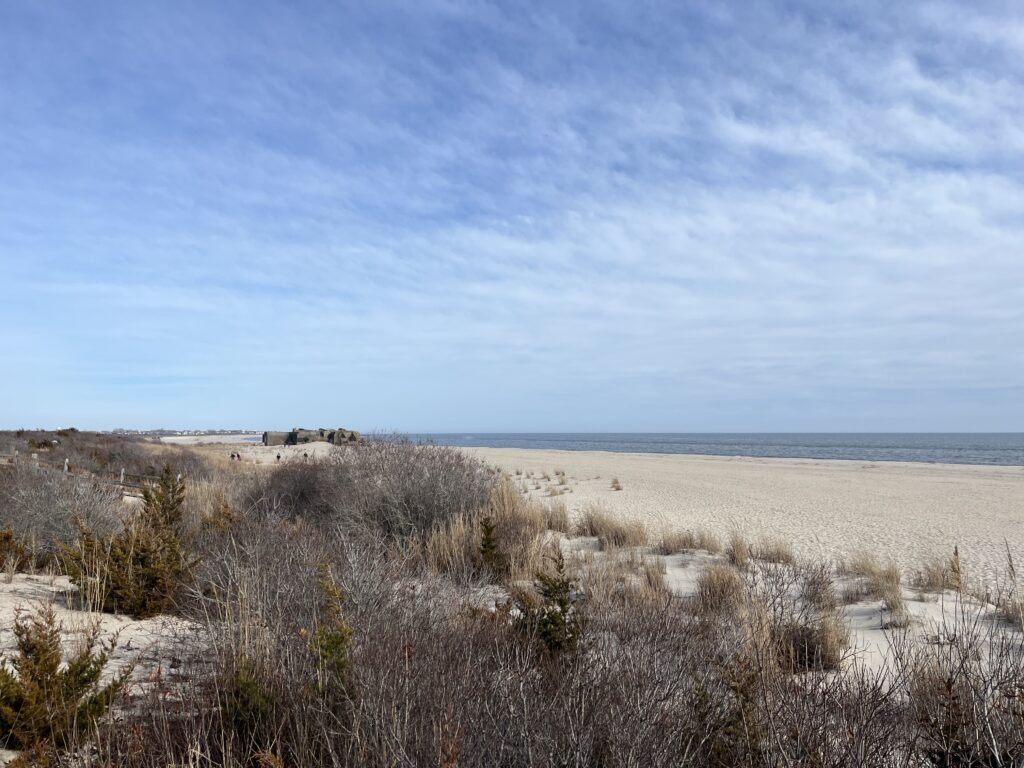 a field of dry grass (MyCoast AI)