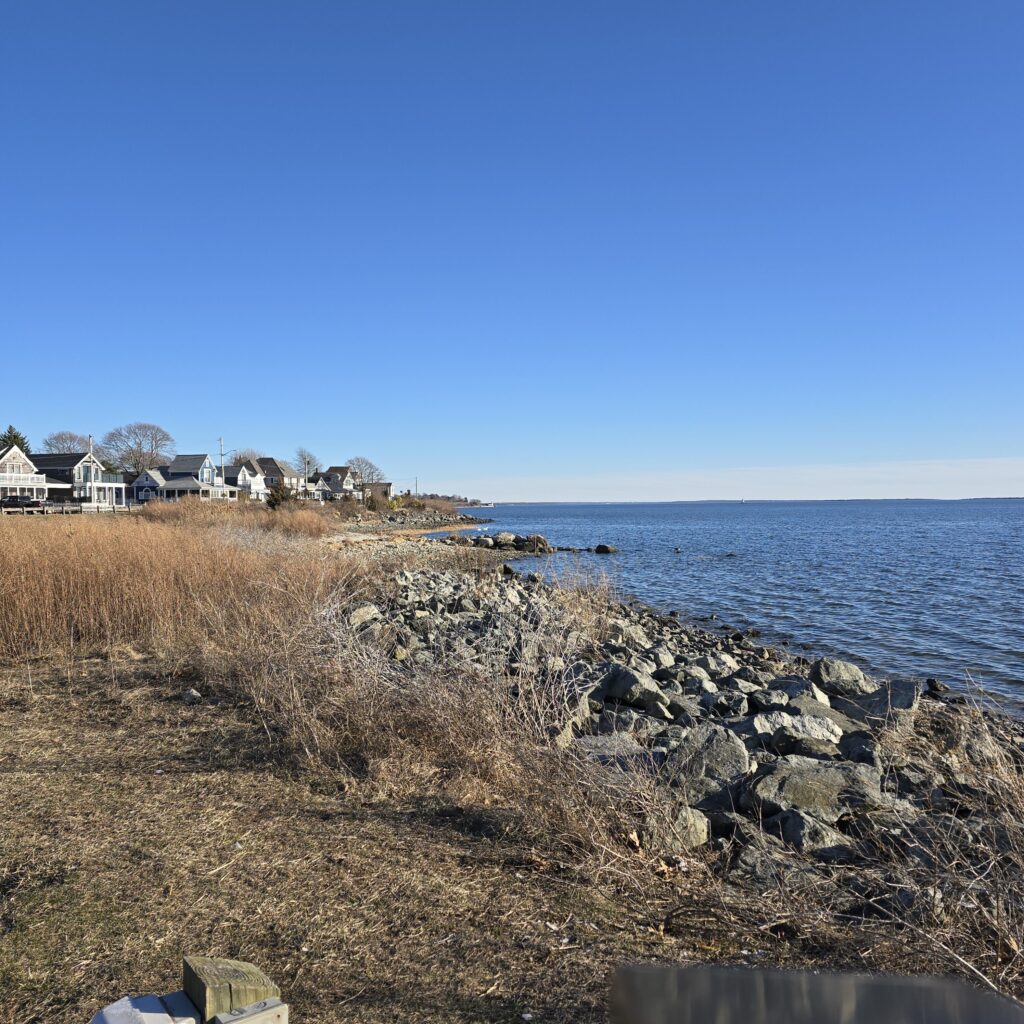 a rocky beach with houses and water (MyCoast AI)