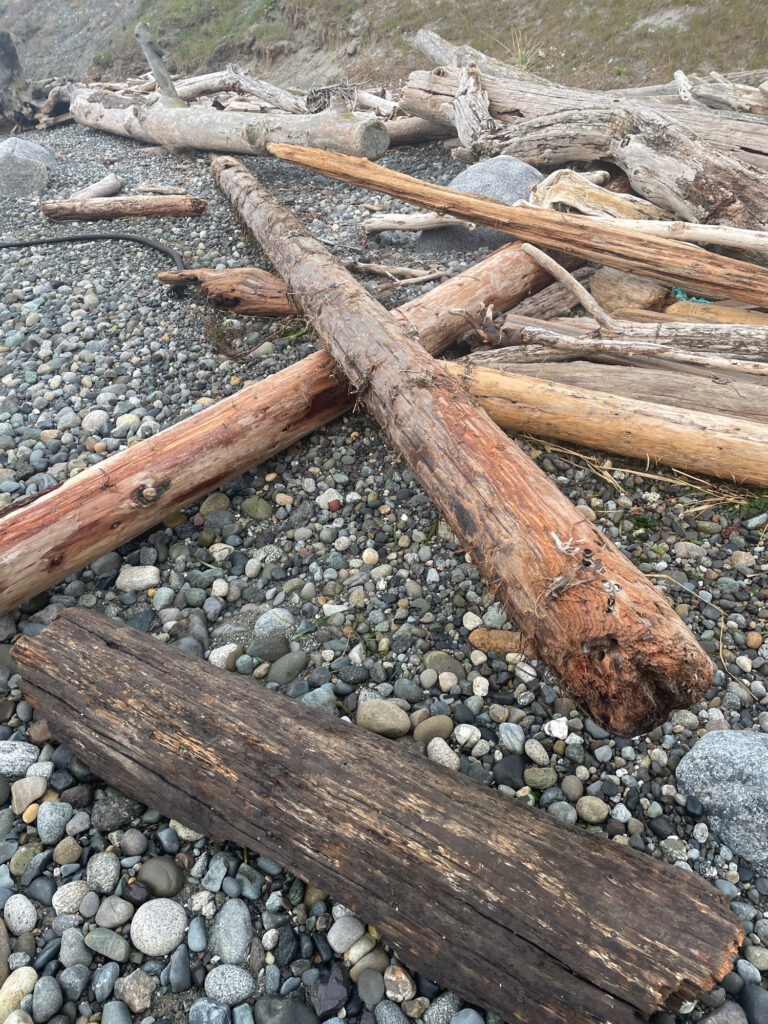 a group of wooden sticks on a rocky surface (MyCoast AI)