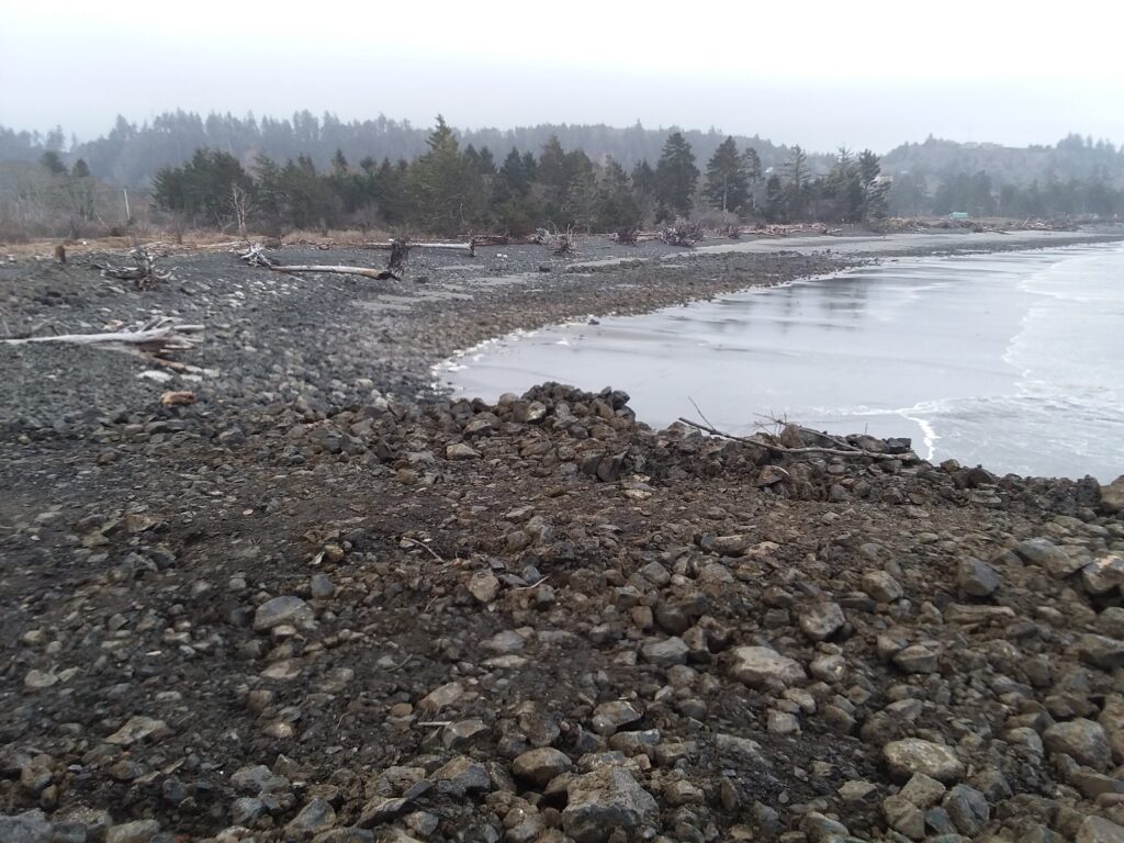 a rocky beach with trees in the background (MyCoast AI)