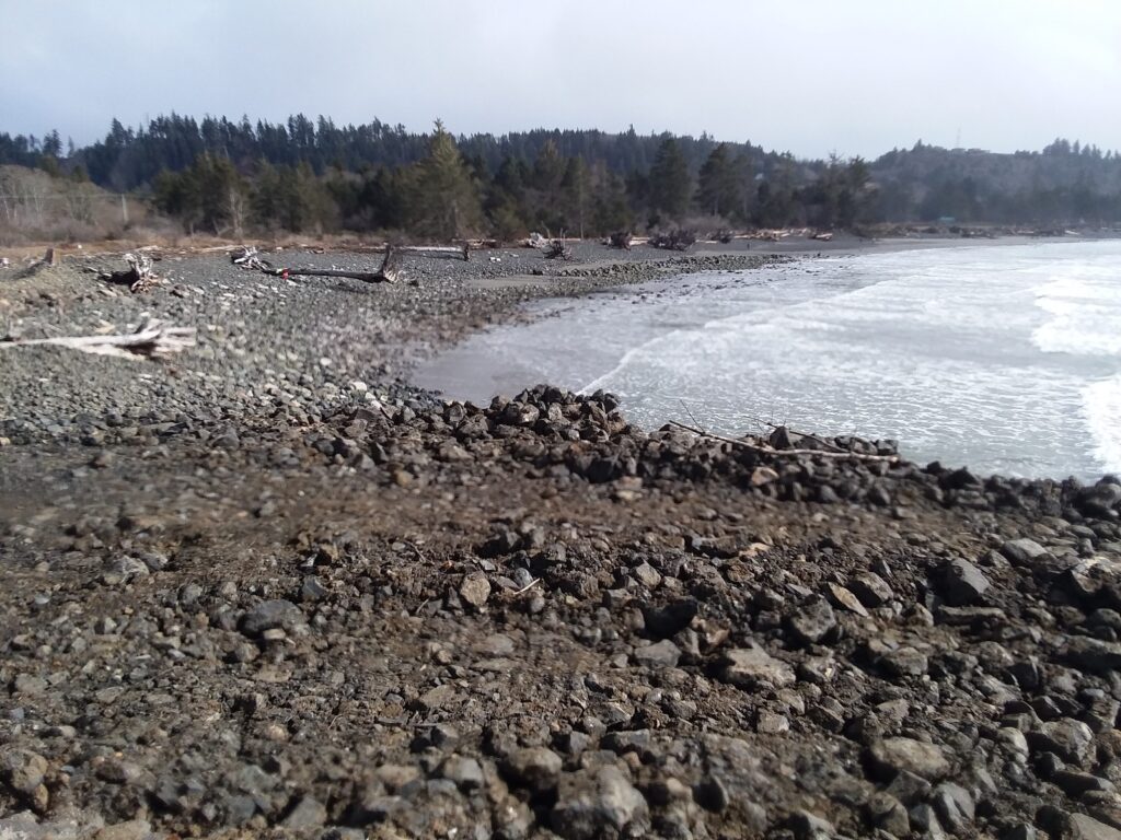 a rocky beach with trees in the background (MyCoast AI)