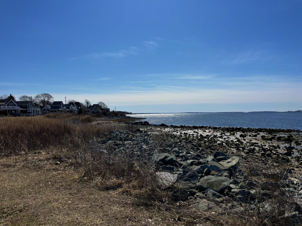 a rocky beach with houses in the background (MyCoast AI)