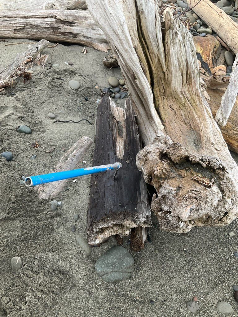 a blue pen on a log (MyCoast AI)
