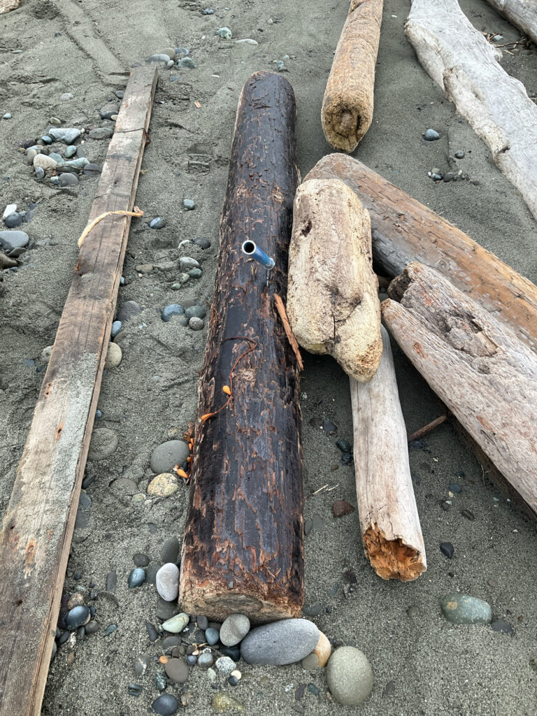 a group of wood pieces on the ground (MyCoast AI)