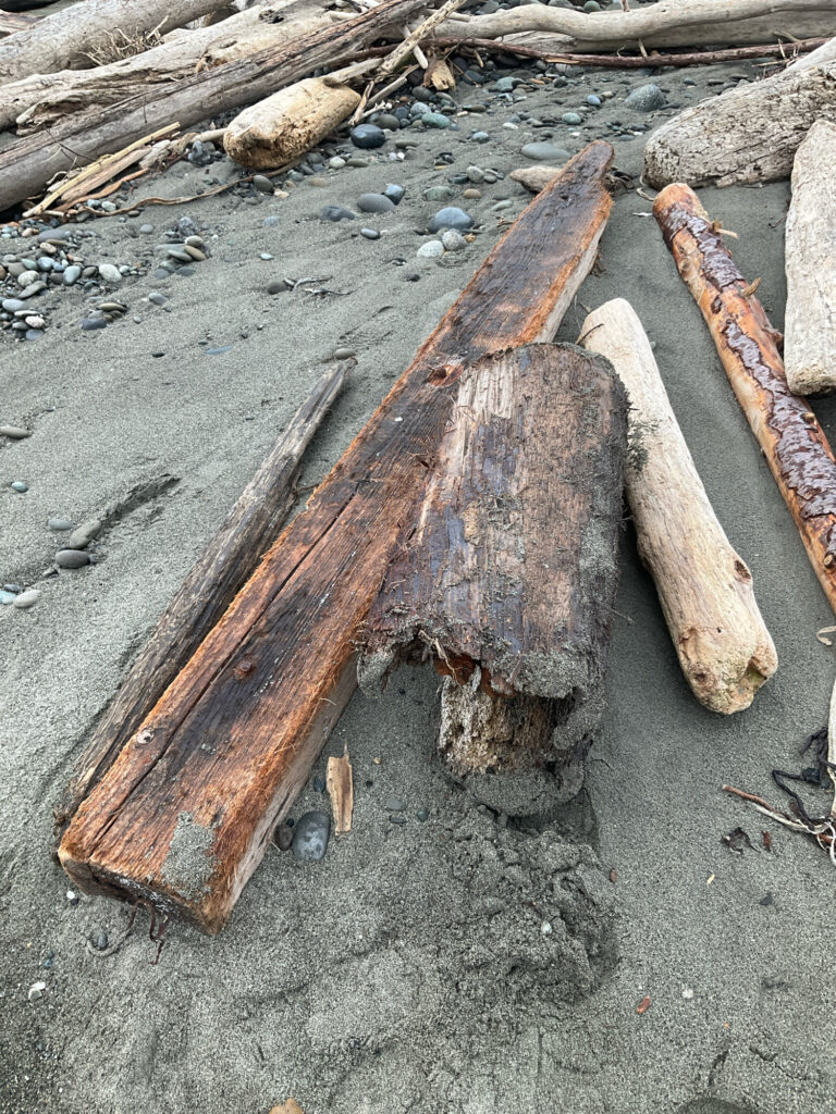 a group of wood pieces on the ground (MyCoast AI)