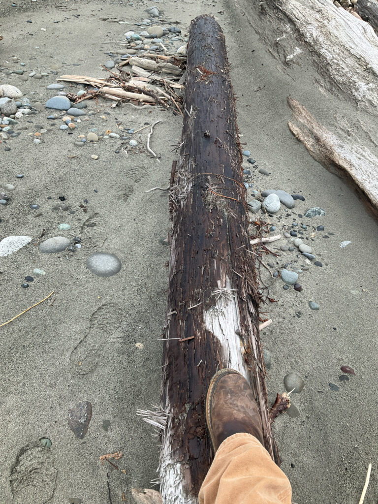 a person's leg and foot (MyCoast AI)