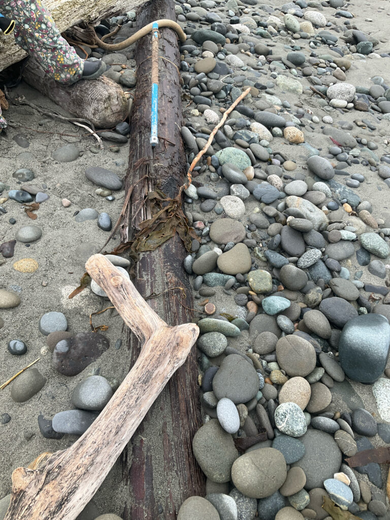 a pile of rocks (MyCoast AI)