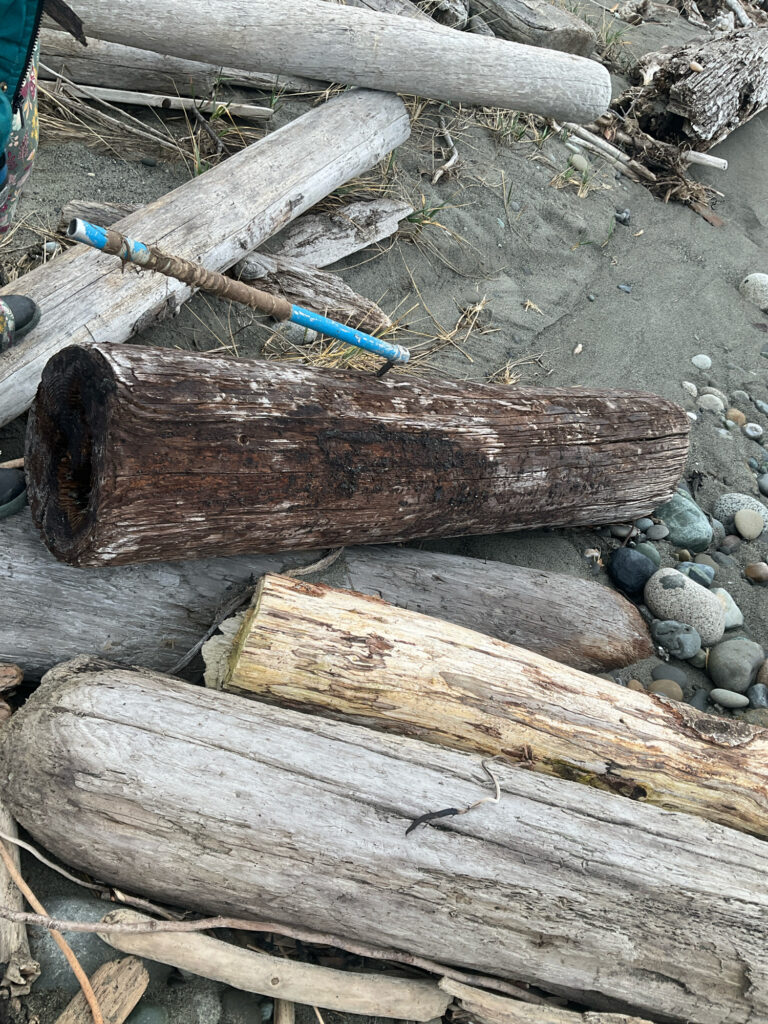 a group of wood pieces (MyCoast AI)