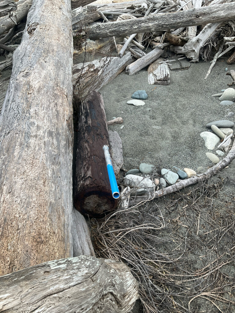 a blue toothbrush next to a tree (MyCoast AI)