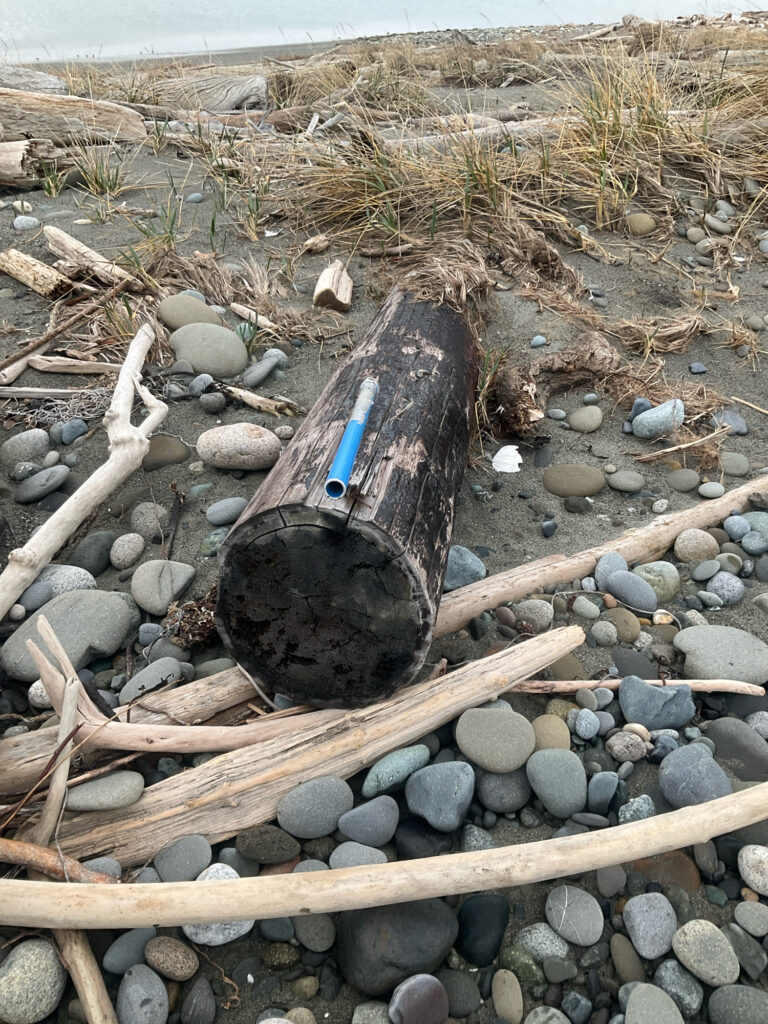 a pile of wood and rocks (MyCoast AI)