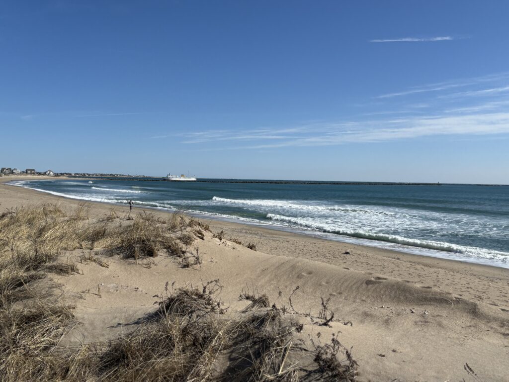 a sandy beach with waves crashing (MyCoast AI)