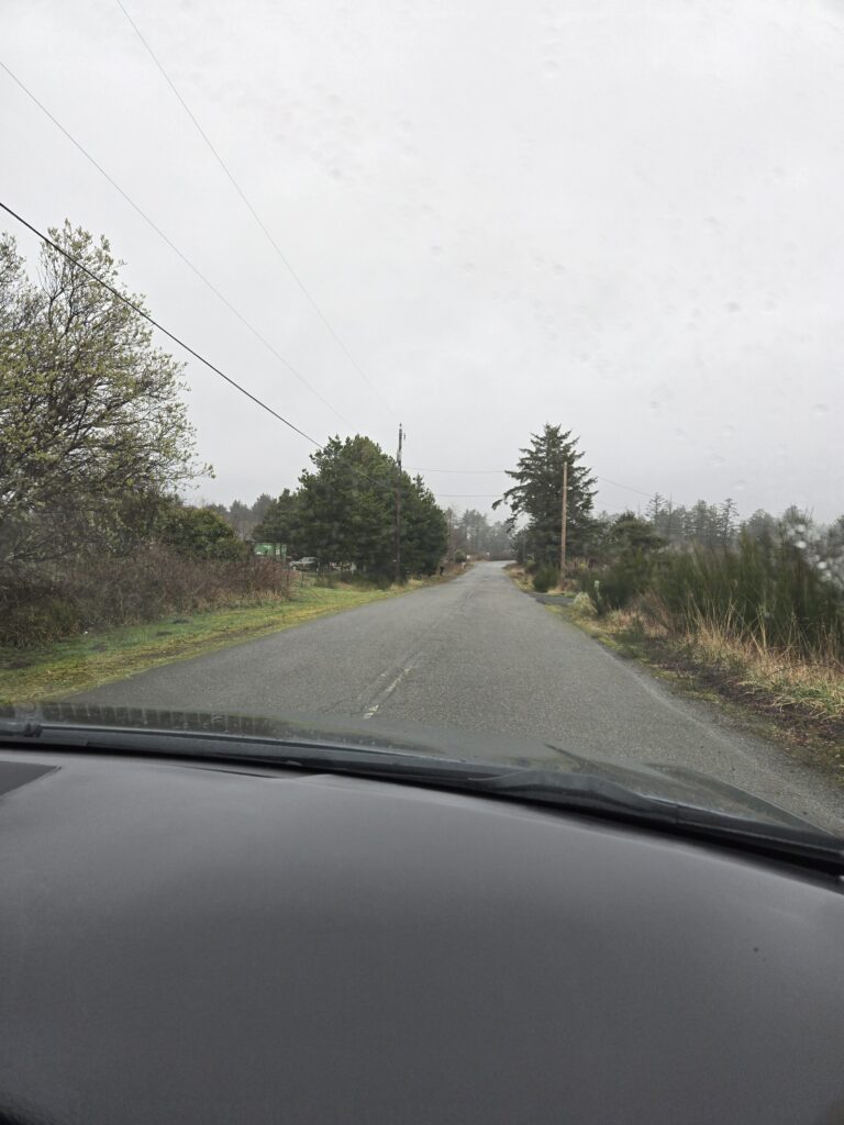 a road with trees on the side (MyCoast AI)