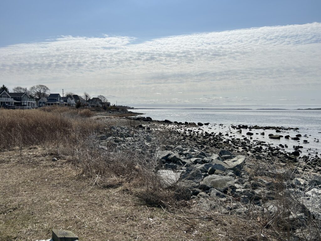 a rocky beach with houses and water in the background (MyCoast AI)