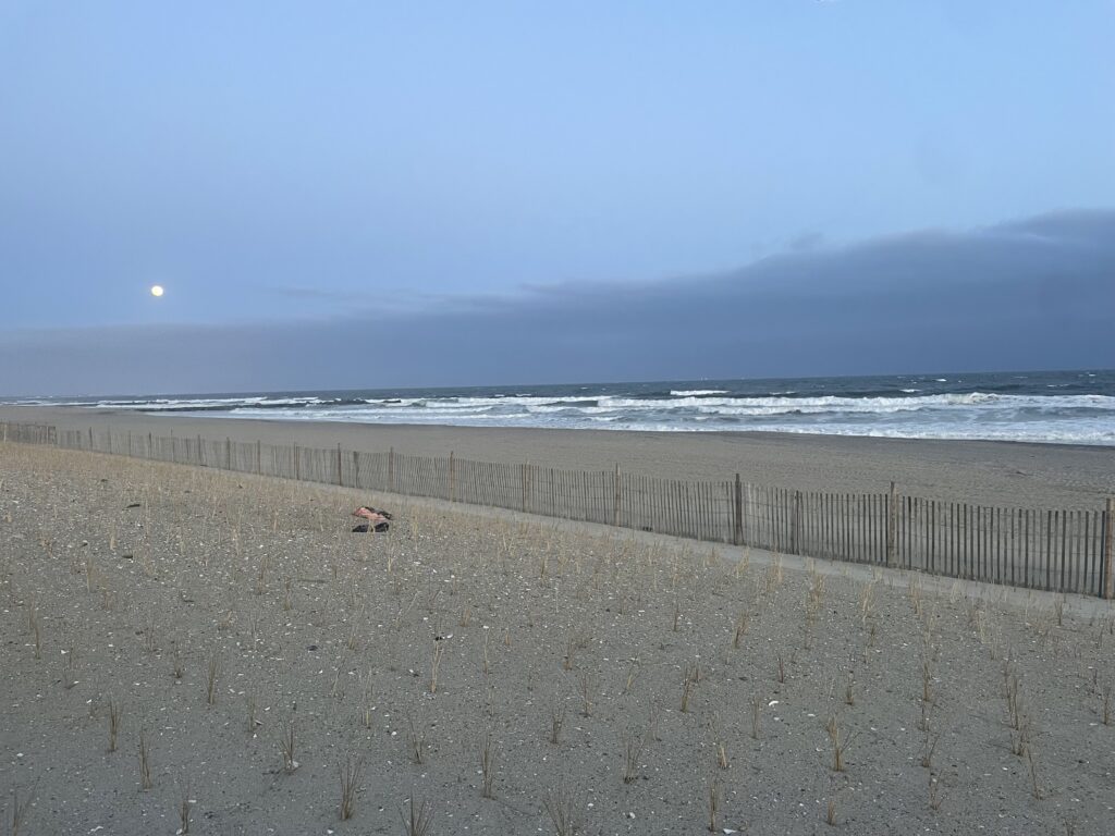 a sandy beach with a fence and water in the background (MyCoast AI)