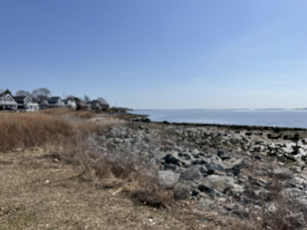 a rocky beach with houses in the background (MyCoast AI)