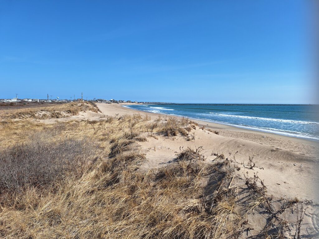 a sandy beach with water and blue sky (MyCoast AI)