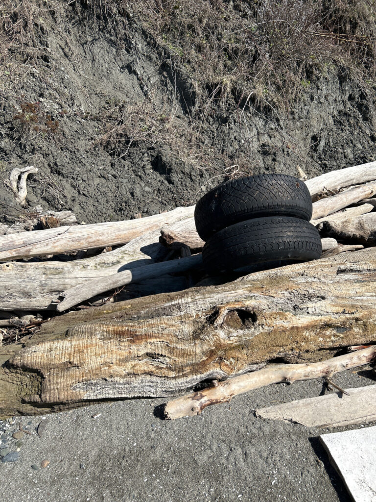 a tire on a log (MyCoast AI)